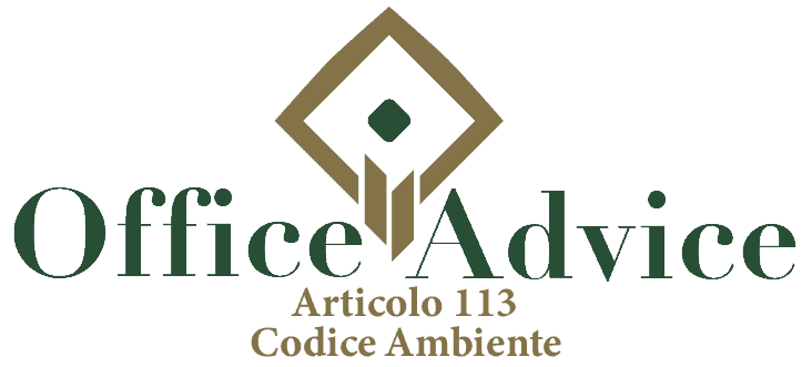 Art. 113 - Codice ambiente