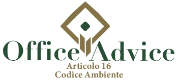 Art. 16 - codice ambiente