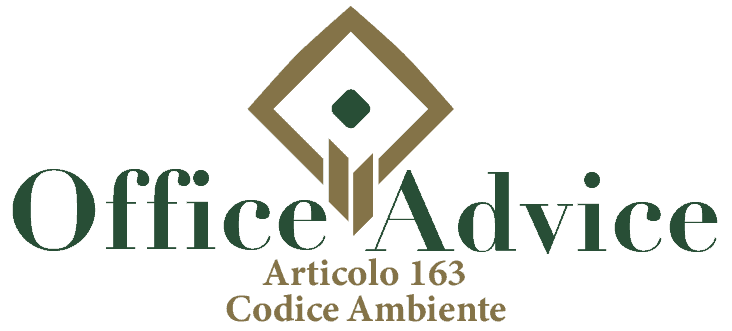 Art. 163 - Codice ambiente