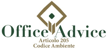 Art. 205 - codice ambiente