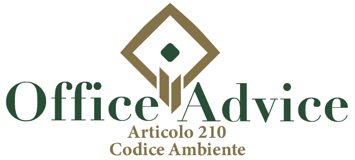 Art. 210 - Codice ambiente