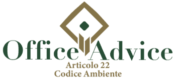 Art. 22 - codice ambiente