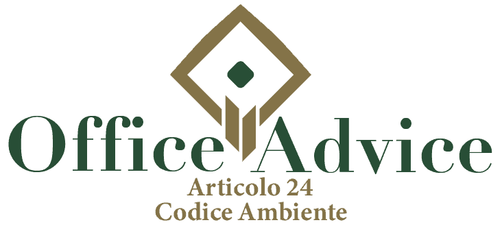 Art. 24 - Codice ambiente