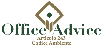 Art. 243 - codice ambiente