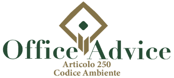 Art. 250 - codice ambiente