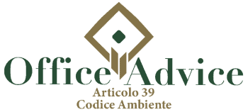 Art. 39 - codice ambiente