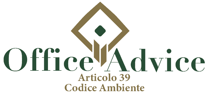 Art. 39 - Codice ambiente