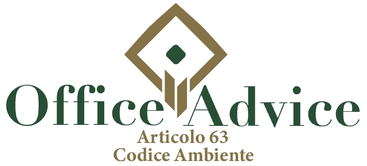 Art. 63 - Codice ambiente