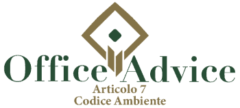 Art. 7 - codice ambiente