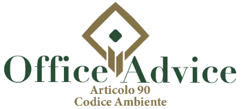 Art. 90 - codice ambiente